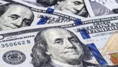 سعر الدولار اليوم الأحد في مصر يشهد استقرارًا مفاجئًا بالبنوك.. تعرف على أحدث الأسعار والأوضاع الاقتصادية