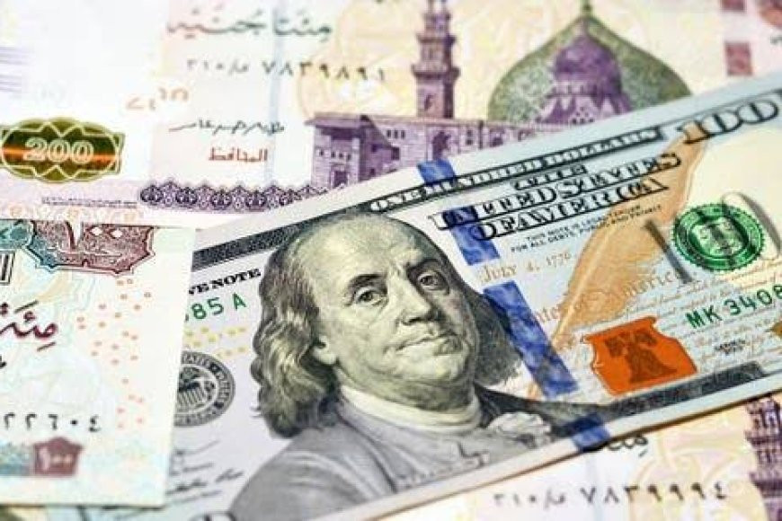 سعر الدولار مقابل الجنيه المصري يتجاوز حاجز الـ 52 جنيهًا وسط تقلبات السوق