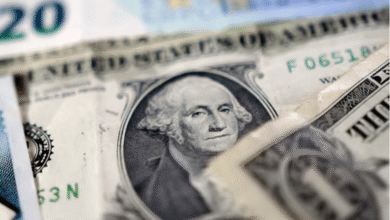 سعر الصرف يصل إلى 52 جنيهًا للدولار.. صدمة مؤقتة تثير التوقعات بالاستقرار قريبًا