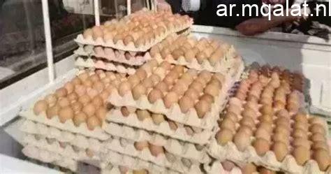 سعر طبق البيض في القليوبية اليوم الخميس 5 مارس 2026.. الأبيض بـ126 جنيها