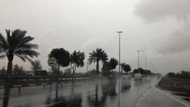 طقس اليوم الاثنين في مصر: شبورة كثيفة صباحًا ودفء خلال النهار وبرودة ليلًا