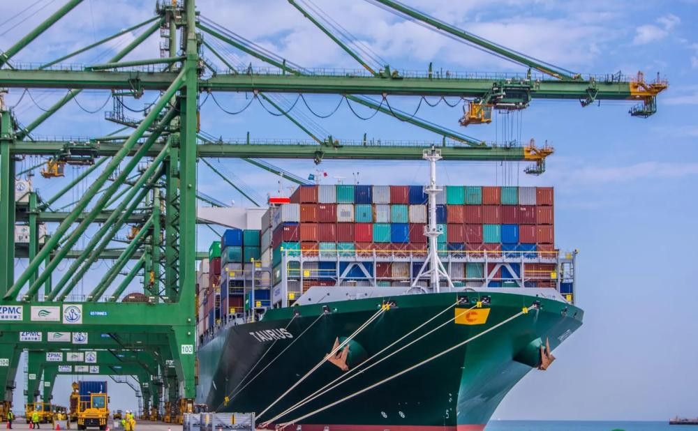 عاجل: إصدار قرار ملزم للوكلاء الملاحيين بتطبيق ثلاثة اشتراطات أساسية لفسح الشحنات البحرية