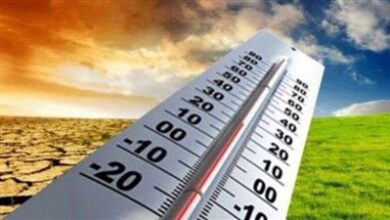 عاجل: شبورة ورياح وأمطار خفيفة تسيطر على طقس الجمعة.. الأرصاد تكشف عن المفاجآت الجوية القادمة