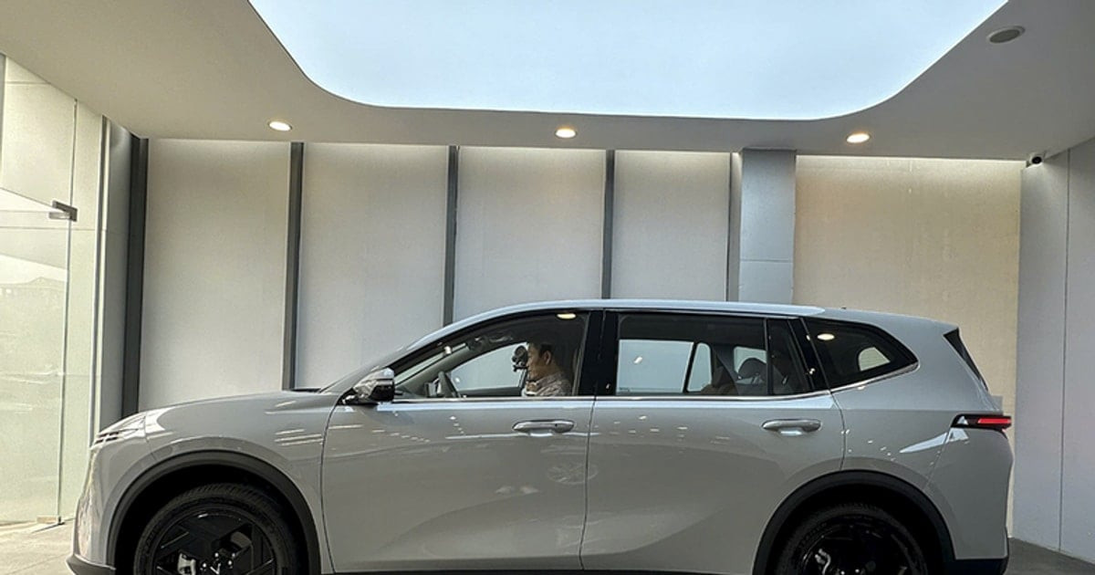 عروض مغرية: خصومات بقيمة 73 مليون دونغ فيتنامي وشفافية في الشحن المجاني في مارس