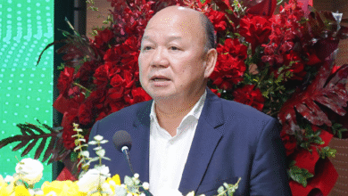 عندما تولى السيد تو دونغ رئاسة مجلس إدارة شركة تابعة لفيناكونكس، شهد سعر السهم قفزة قياسية وتسجيل أعلى مستوياته