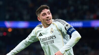 فالفيردي يتحول إلى الطائر المخلص وكأنه الفينيق في رحلة النجاح والتحدي