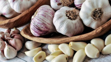 فرصة لربات البيوت.. اكتشفي سبب تراجع أسعار الثوم إلى 7 جنيهات في الأسواق