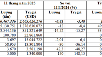 فيتنام تتجاوز 2.6 مليار دولار في استيراد الذرة خلال 11 شهرًا مع ارتفاع متوسط السعر بنسبة 2.5%