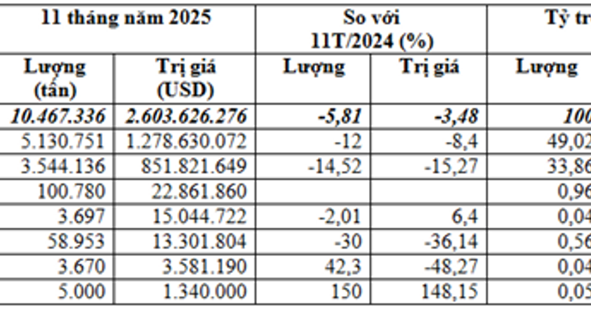 فيتنام تتجاوز 2.6 مليار دولار في استيراد الذرة خلال 11 شهرًا مع ارتفاع متوسط السعر بنسبة 2.5%