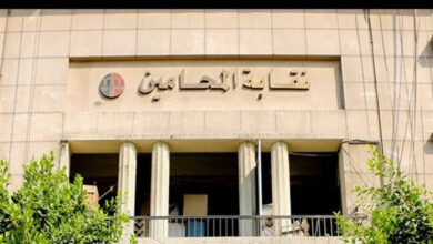 قرار عاجل من نقابة المحامين بشأن أحداث مشاجرة الإسكندرية في مصر