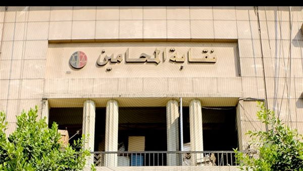 قرار عاجل من نقابة المحامين بشأن أحداث مشاجرة الإسكندرية في مصر