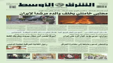 قرار عربي تاريخي يؤيد الرد العسكري على إيران وسط تدمير السعودية لـ23 طائرة مسيرة إيرانية