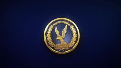 كشف ملابسات فيديو لسيدة تضع جوال بلاستيكي في تروسيكل يحتوي كلاباً بالإسكندرية