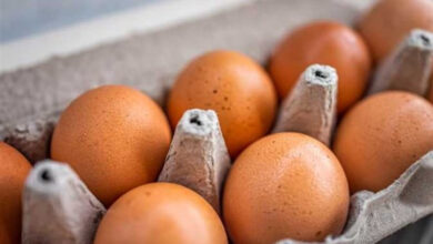 كم الكرتونة اليوم؟ أسعار البيض في السوق المصرية تثير اهتمام المستهلكين
