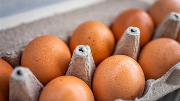 كم الكرتونة اليوم؟ أسعار البيض في السوق المصرية تثير اهتمام المستهلكين
