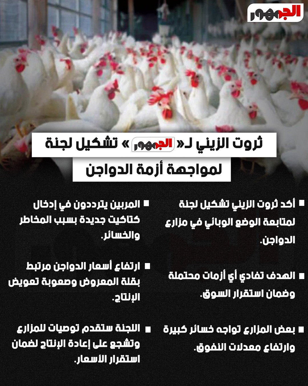 لجنة عاجلة لمواجهة أزمة الفراخ وارتفاع الأسعار بشكل حاسم