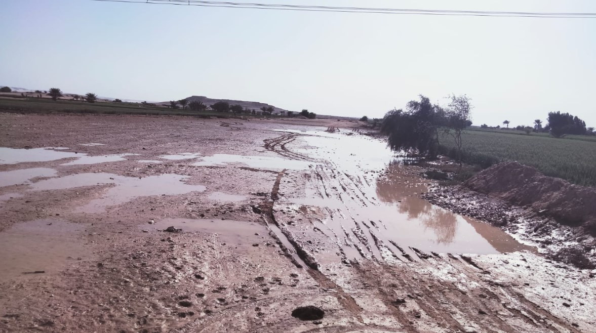محافظ قنا يتخذ إجراءات فورية لوقف تسريب مياه الصرف الصحي إلى الأراضي الزراعية واستعادة استقرار المنطقة