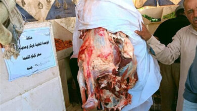 محافظة الوادي الجديد تكثف جهودها لضبط الأسواق وتوسيع توافر السلع الغذائية