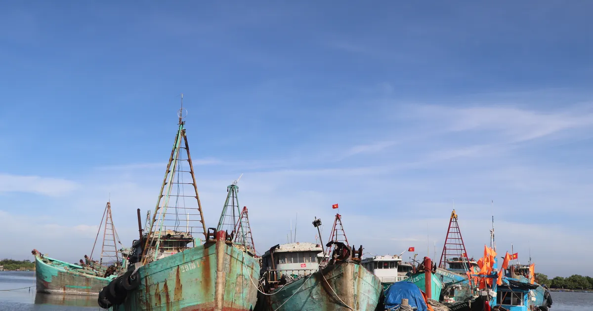 مدينة هو تشي منه تتجه سريعاً نحو تركيب نظام تحديد المواقع العالمي (GPS) على جميع سفن الصيد غير الملتزمة بمتطلبات التشغيل