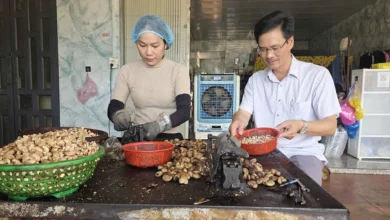 مزارعو الكاجو يوجّهون شكرهم للموسم المُبهر والأسعار المميزة