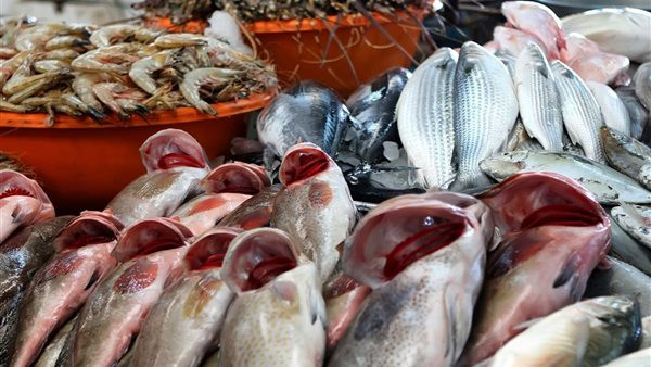مفاجآت في أسعار الأسماك اليوم 5 مارس 2026.. وهل بلغ سعر كيلو البلطي ذروته؟