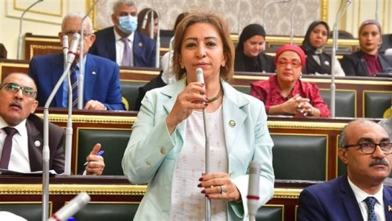 مها عبد الناصر تدعو إلى تحقيق عاجل في ارتفاع أسعار تذاكر مصر للطيران من الخليج إلى القاهرة وسط مخاوف الركاب