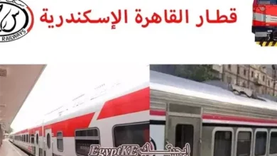 موعد رحلات قطارات القاهرة الإسكندرية اليوم برسائل تالجو وVIP وروسي.. طرق حجز التذاكر لمعرفة التفاصيل