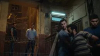 موعد عرض مسلسل بطل العالم الحلقة 8 كارولين عزمى تعتذر عن الارتباط بعمرو جمال في الحلقة 24 من رأس الأفعى