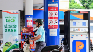 نائب الوزير يحذر من ارتفاع أسعار الوقود ويدعو إلى استعانة عاجلة بالوقود الحيوي لتحقيق الاستدامة