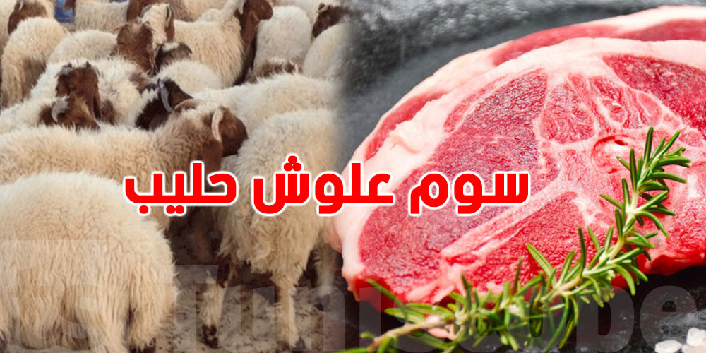 نفاد مخزون "العلوش" عند 60 دينارًا يثير دعوات للمقاطعة وتوجّهات لتوحيد الموقف الشعبي