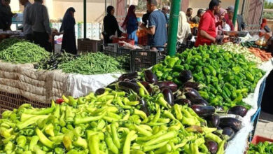 نقيب الفلاحين يكشف موعد تراجع موجة ارتفاع أسعار الخضروات (خاص)