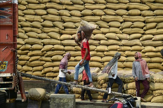 هبوط حاد في أسعار الأرز الآسيوي مع تراجع الطلب السوقي