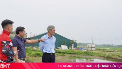 هل يمر سوق العقارات في هايتينه بمرحلة "تطهير" حاسمة؟