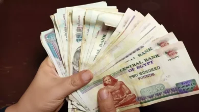 وزارة التضامن تعلن عن موعد صرف معاش مارس 2026 بشكل مفاجئ ويثير الجدل حول توقيته