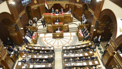 وكيل صناعة الشيوخ يطالب الحكومة بفرض رقابة صارمة على الأسواق لمنع تحرك الأسعار