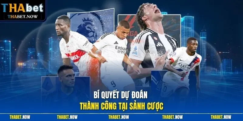 Bí quyết dự đoán thành công tại sảnh cược